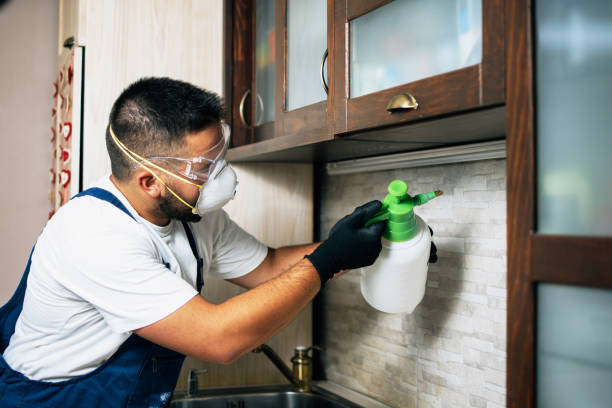 Best Affordable Pest Control Services  in West Terre Haute, IN