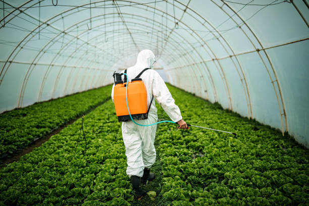 Reliable West Terre Haute, IN Pest Control Solutions
