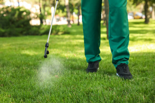 Best Local Pest Control Services  in West Terre Haute, IN