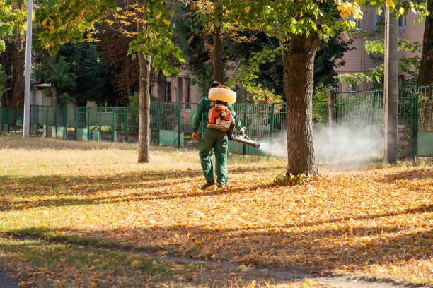 Best Rat Extermination Near Me  in West Terre Haute, IN