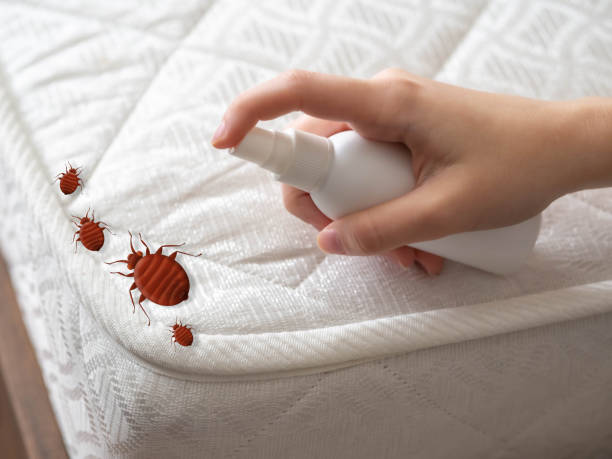 Best Best Pest Control Companies  in West Terre Haute, IN