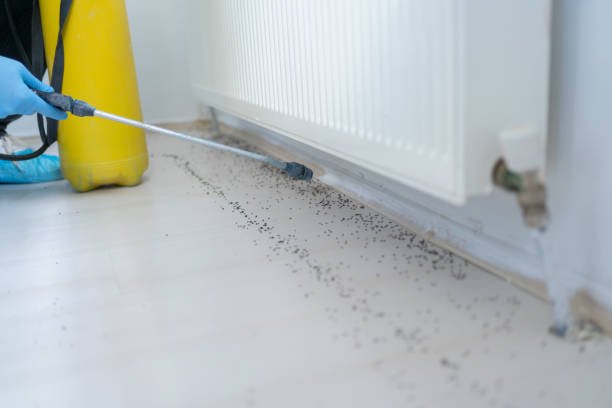  West Terre Haute, IN Pest Control Pros