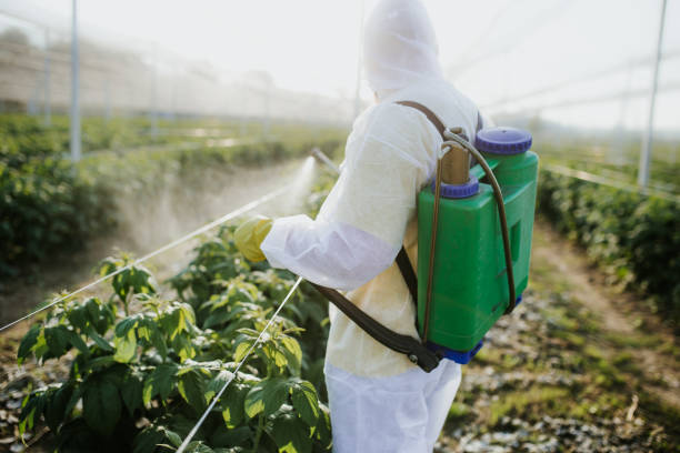 Best Local Pest Control Services  in West Terre Haute, IN